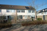 Sleutelbloem 91