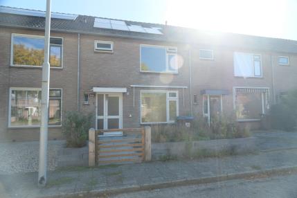 Lingestraat 7 